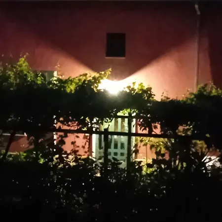 Bella Di Notte