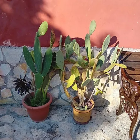 Bella Di Notte San Giorgio a Liri