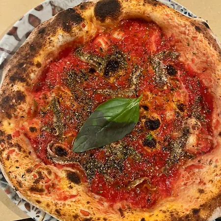 Bella Di Notte
