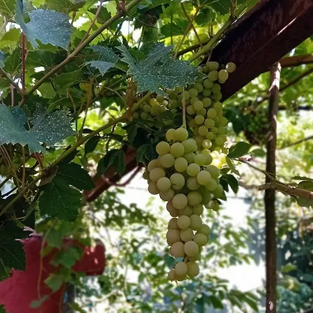 Bella Di Notte Apartamento San Giorgio a Liri