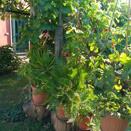 Apartment Bella Di Notte San Giorgio a Liri