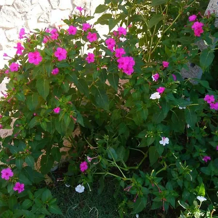 Bella Di Notte Apartment San Giorgio a Liri