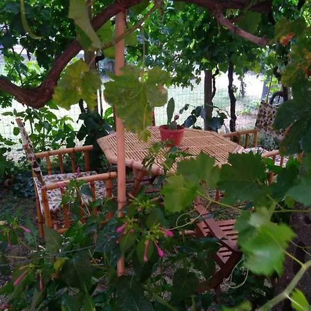 Appartamento Bella Di Notte